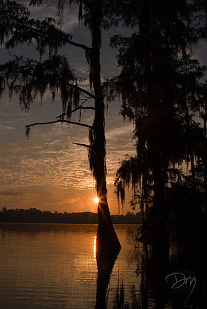 Lake Bradford Sunrise