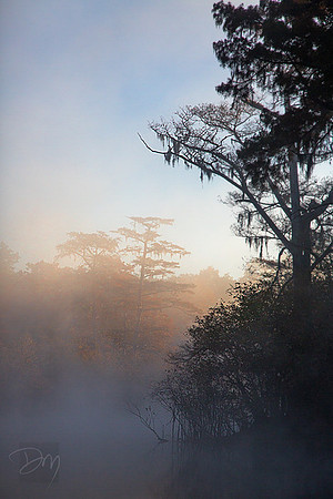 Holmes Sunrise