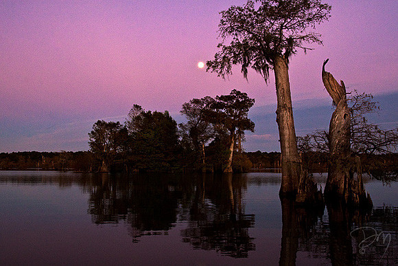 Dead_Lake_Moonrise_9778