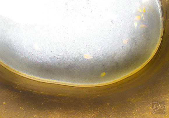 The Golden Egg