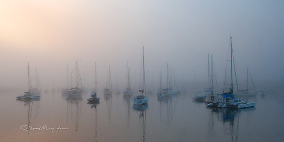 Foggy Harbor