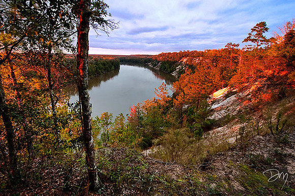 Alum Bluff Sunset