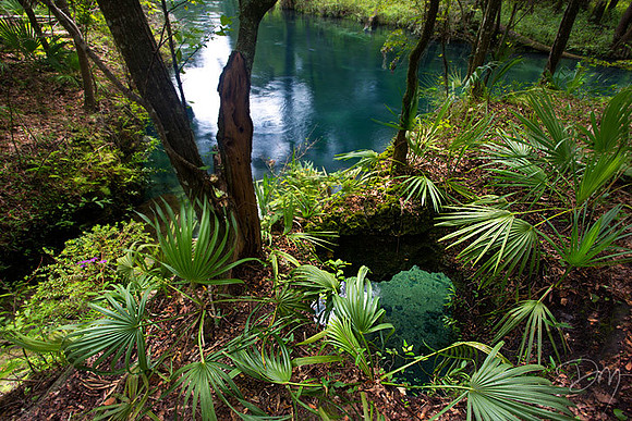 Devils_Den2_Ichetucknee