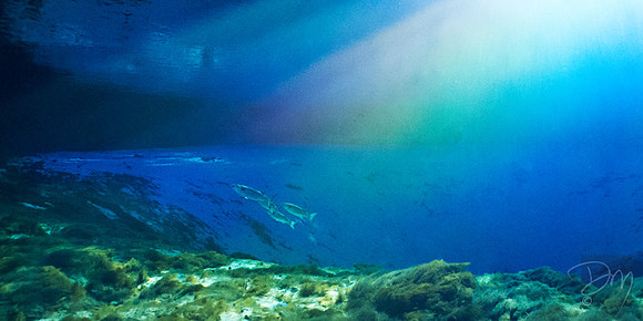 Rainbow_in_Silver_Glen