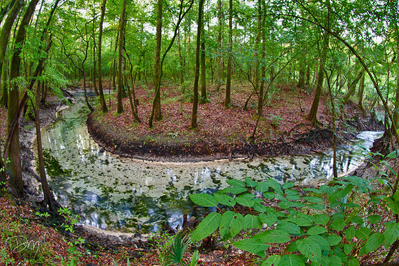 Maund Spring Run