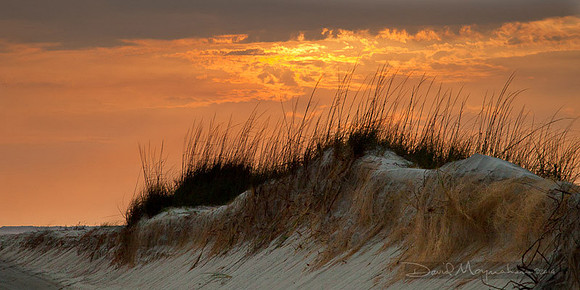 Losing Dune