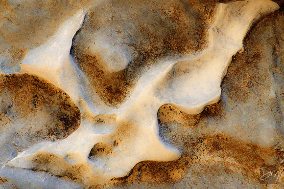 Suwannee_Limestone_8987-Edit