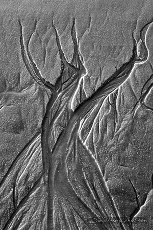 Sand Abstract 4