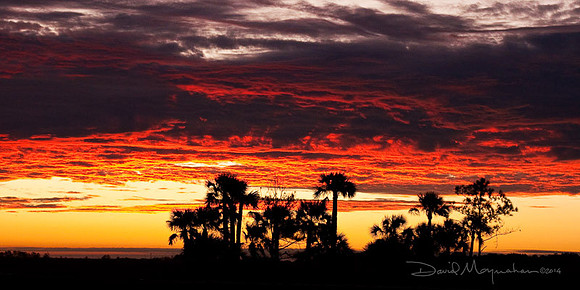 Scipio Sunrise