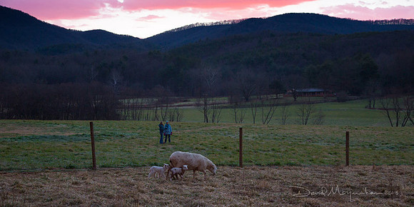 Farm-5412