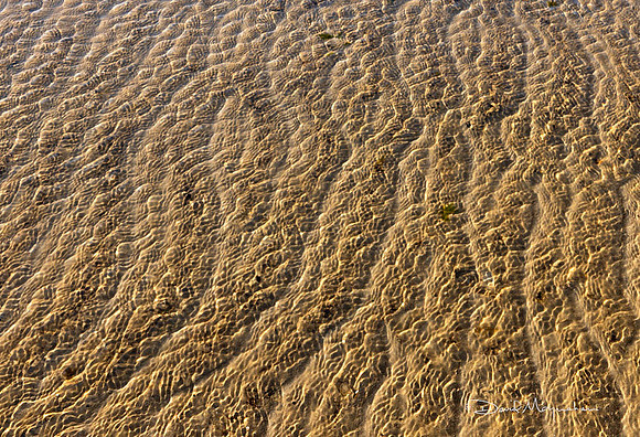 Alchemy of Sand Water & Light