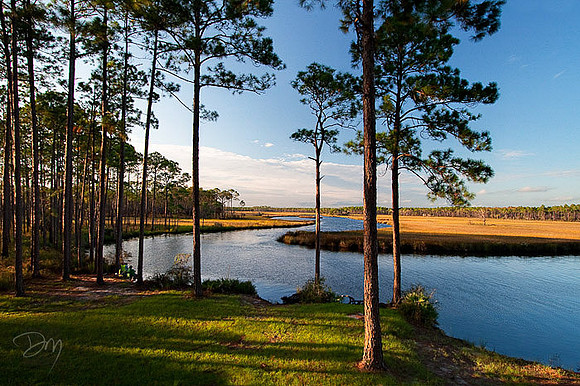 Cash Creek