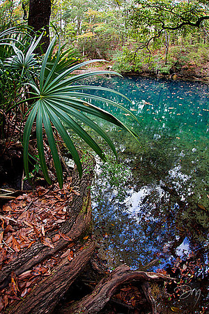 Fountain of Youth Discovered