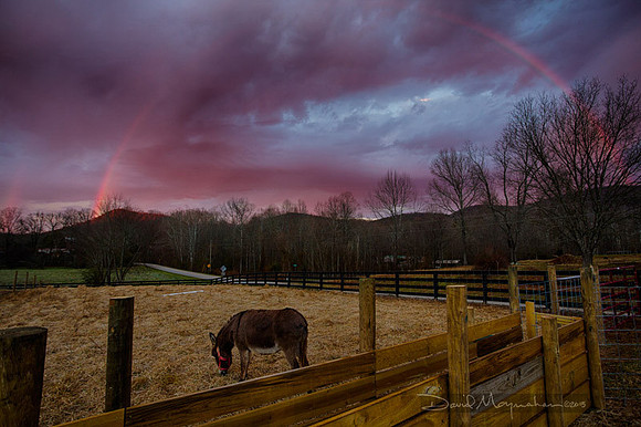 Farm--6