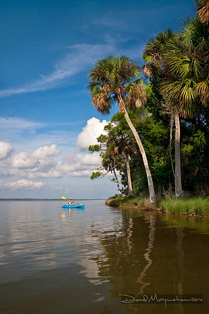 Indian Pass Paddle & Palms