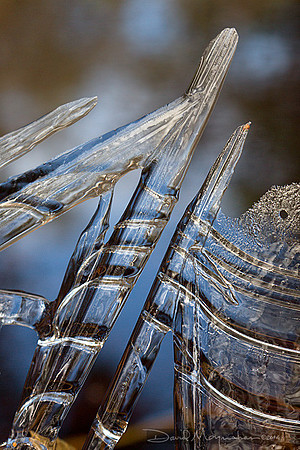 Ice Harp