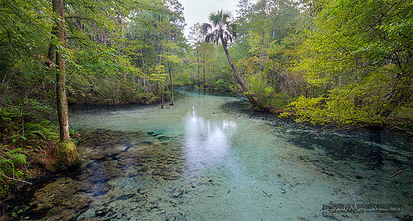 Sylvan Spring