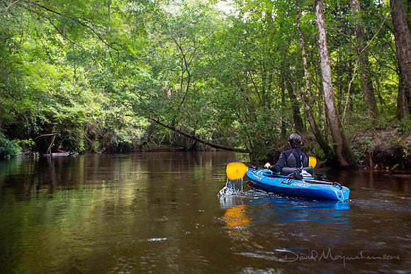 Paddling Econfina