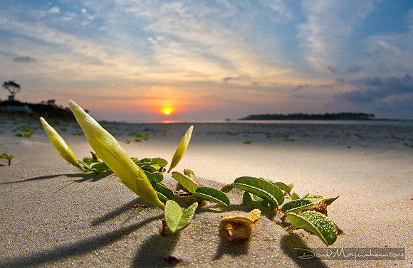st Vincent Sunrise