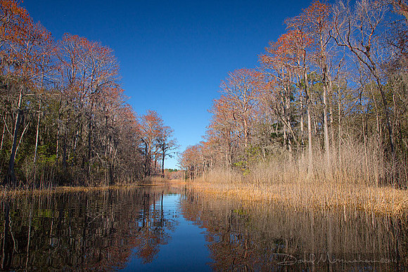 Bradford Creek