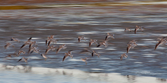 Flight Abstract