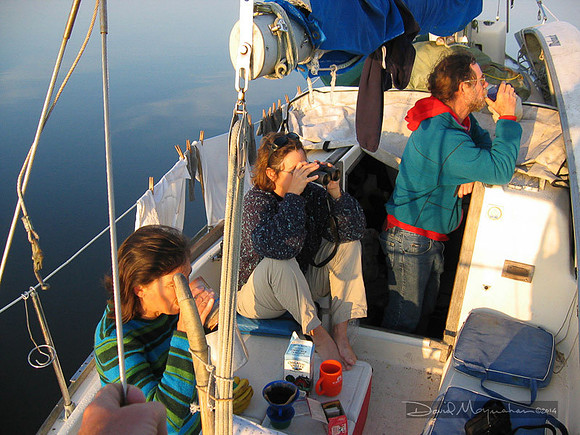 Sailing St. Vincent