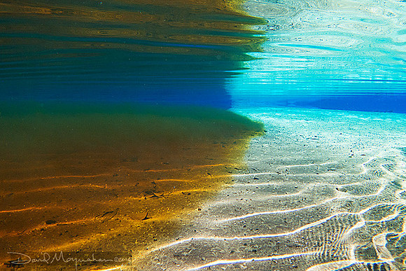 Where_Spring_Meets_Creek