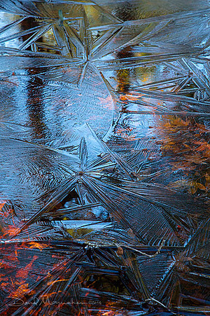 Thin_Ice