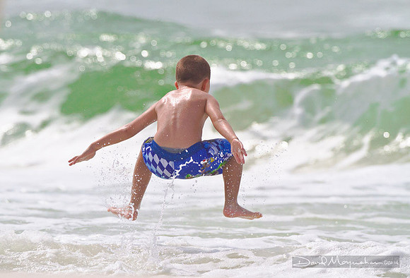 Ocean Joy