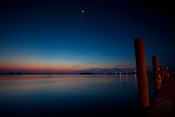 Venus Moon