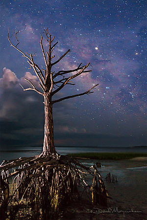 Still Standing