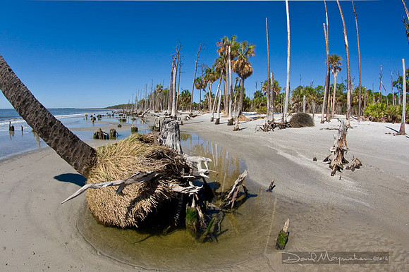 Receding Beach