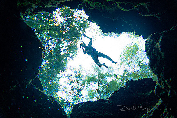 Freefall Into Spring