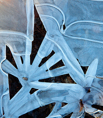 Spokes_&_Waves