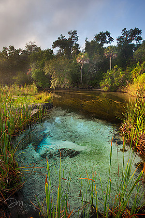 Ledge_Spring_0031-lg