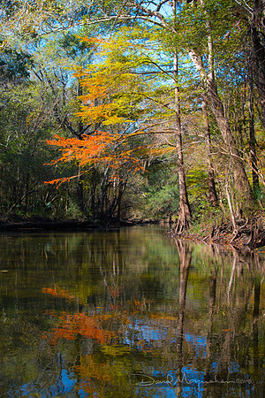 Fall_Spring_Run_V