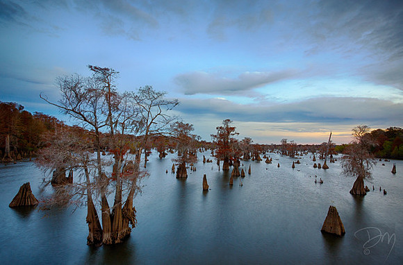Dead_Lakes_Dawn