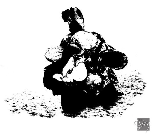 Oyster_B&W