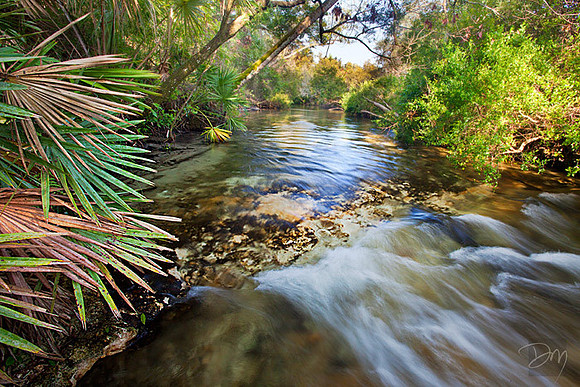 Juniper Rapids