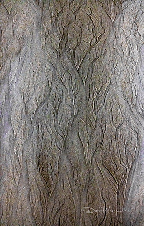 Sand Currents