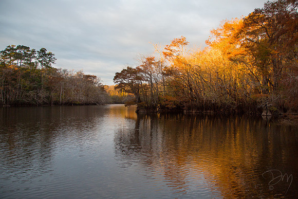 Owl_Creek_Light