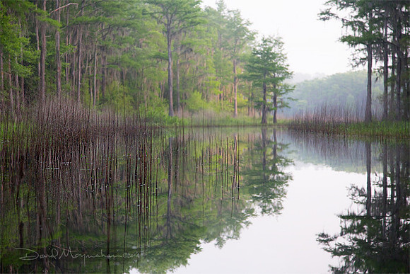 Bradford Creek