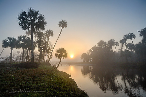 Econlockhatchee Sunrise 2
