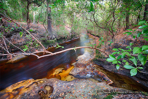 Limerock Creekbed