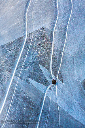 Ice Fish