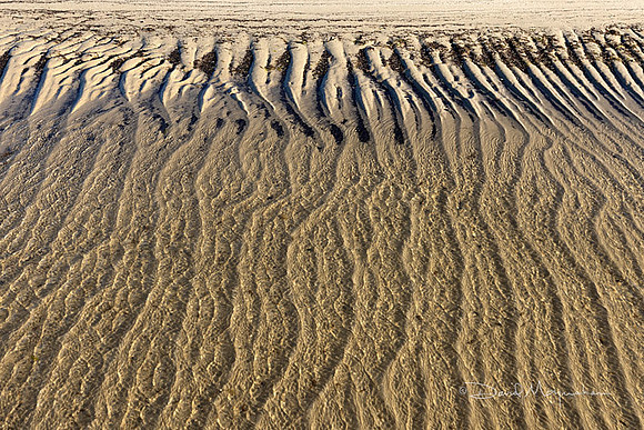 Sea Meets Shore