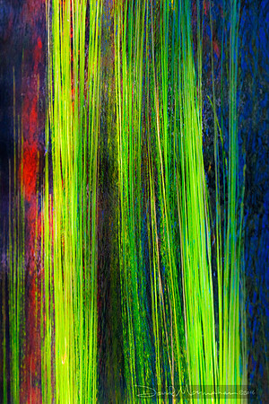 Eel Grass Abstract II
