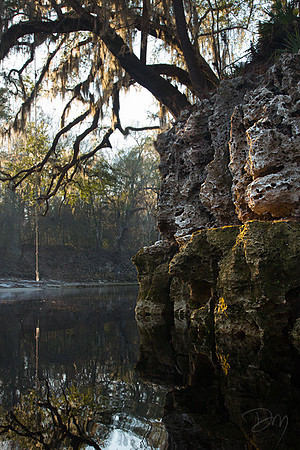 Rope_Swing