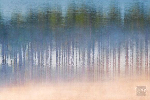 Pines in Mist Inversion