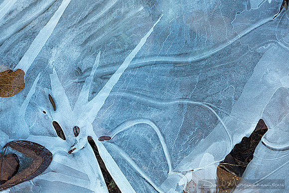 Radiant_Eye_Ice